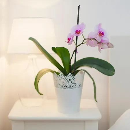 Apartament Santana Studio w/ Balcony Lizbona